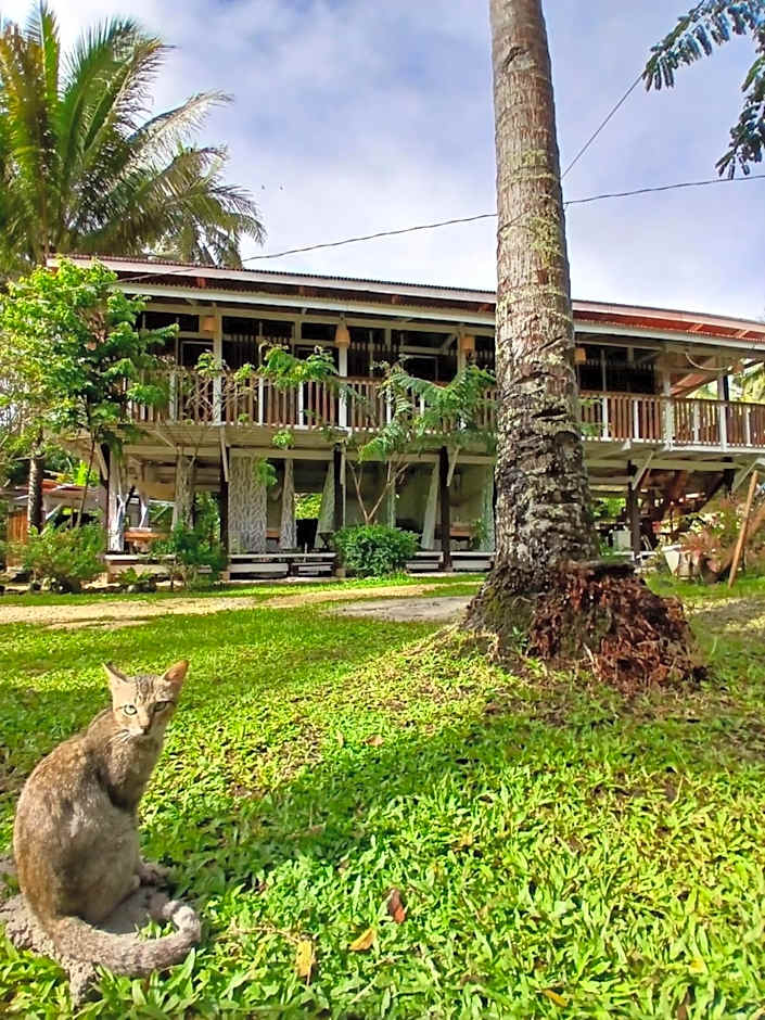 Bohol Hammock Hostel