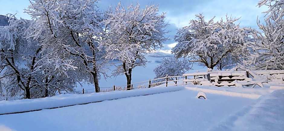 Fruhstuckspension Bischof i d Wiesen