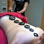 Hotel Alpenrose Wellness