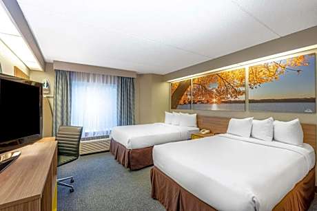 Business Double Room with Two Double Beds - Non-Smoking