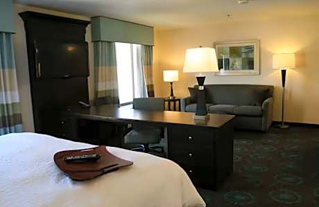 1 King Bed Studio Suite W/Sofabed Nonsmoking