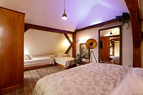 Premium Attic Apartment with Terrace and Castle View