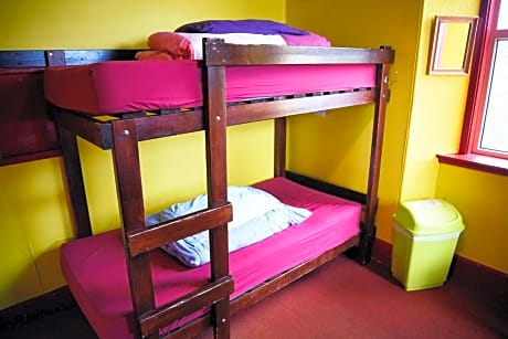 Bunk Bed in Mixed Dormitory Room