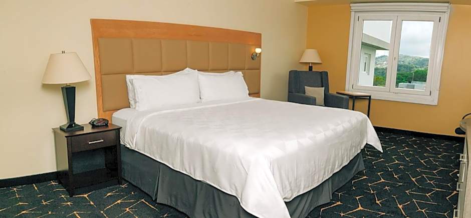 Holiday Inn San Salvador By IHG