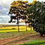 Augusta Sheoak Chalets