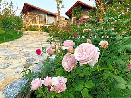 Ms Taha Villas Ba Vi