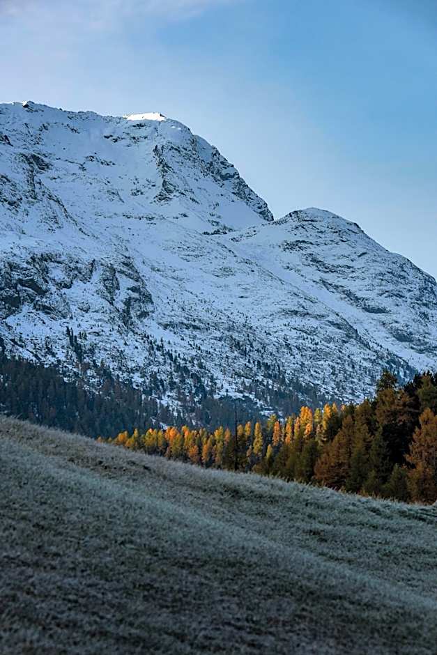 Cresta Palace Celerina St Moritz active-in and experience-out