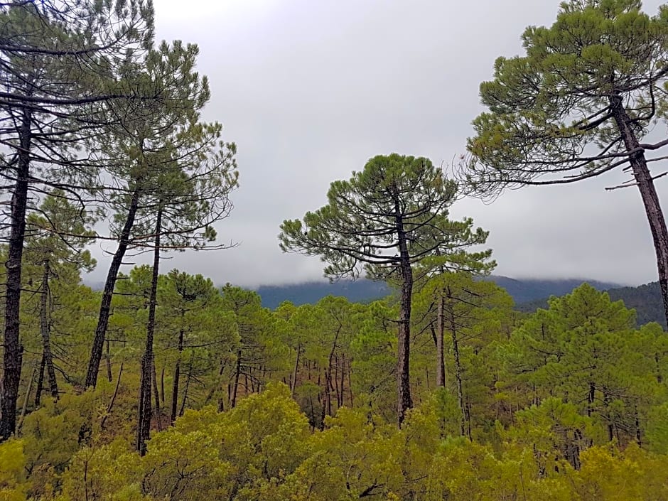 La cabaña del lago en ZAFIRO LAGUNAZO Parque Natural del Río Mundo