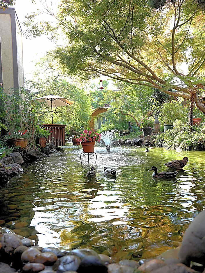 Dinah's Garden Hotel