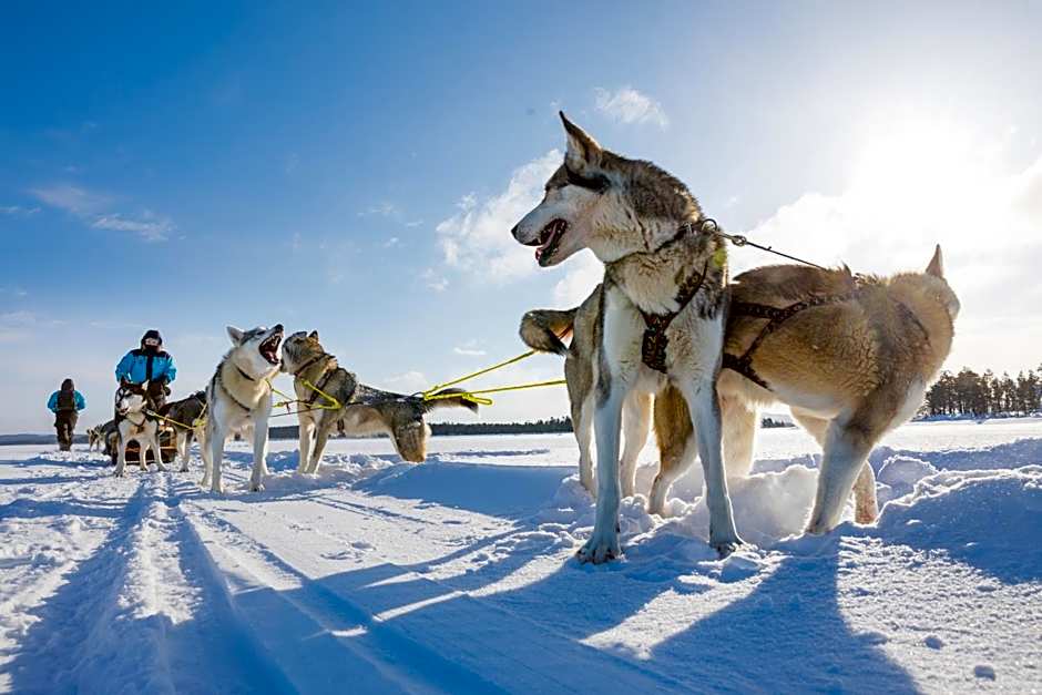 Wilderness Hotel Nellim & Igloos