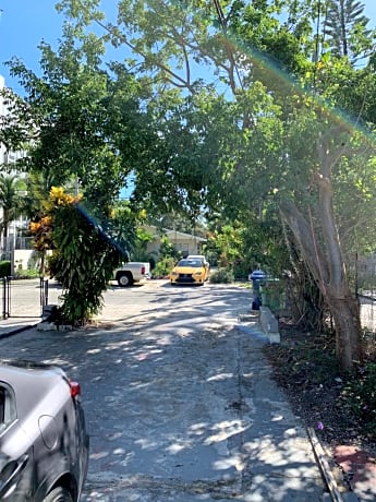 Eco-shared Wynwood