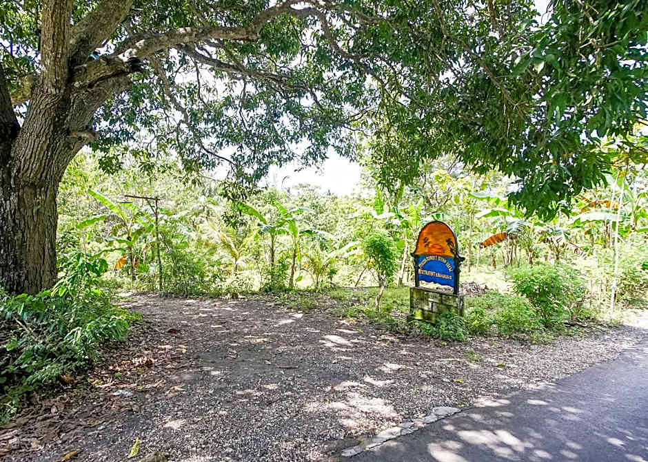 Penida Sunset Ocean View Bungalows