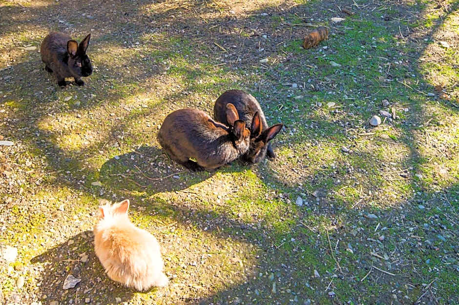 Hotel Hammerwirt - Forellenhof