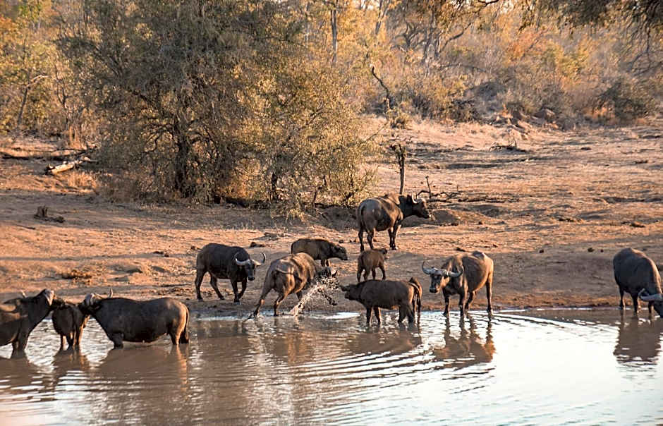 MILIMA Big 5 Safari Lodge