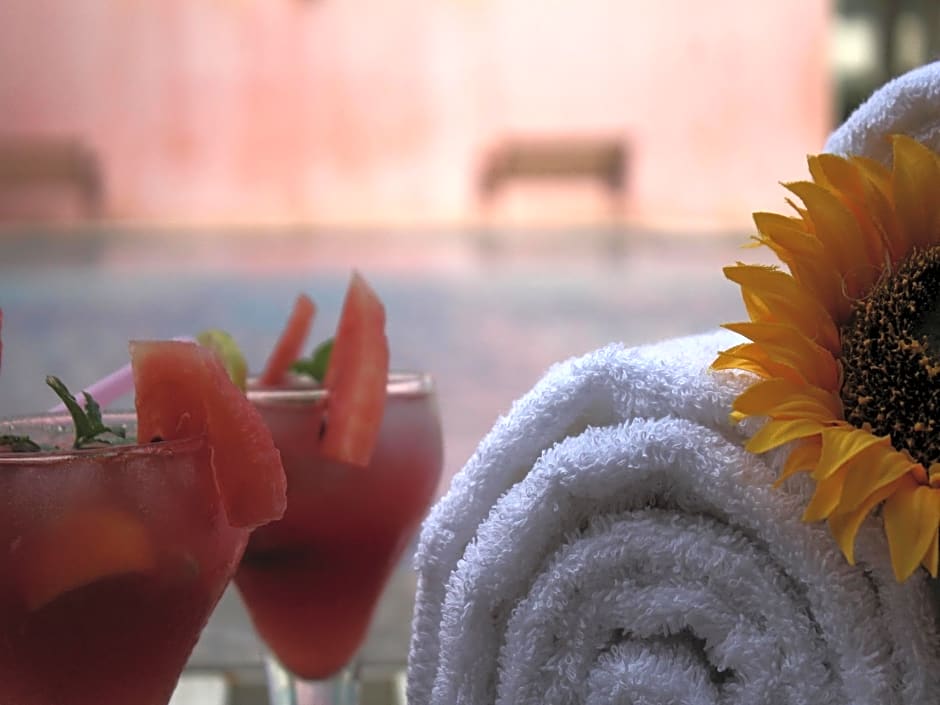 Seven sky Clarks Exotica