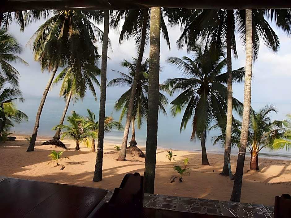 Palm Point Village