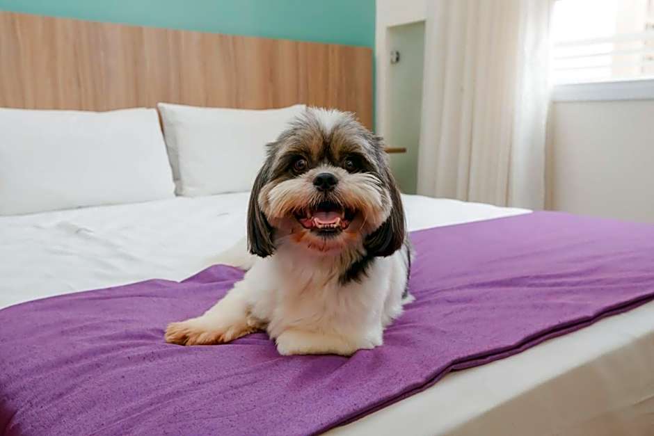 Transamerica Fit Campinas