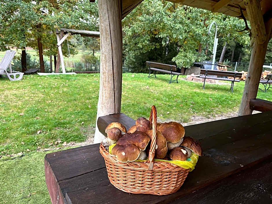 Komfortowy Leśny Dworek