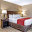 Comfort Inn Lansing West