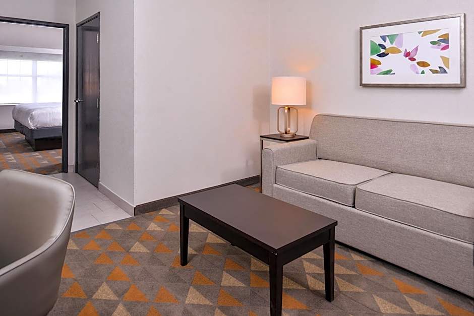 Holiday Inn and Suites Dallas-Addison By IHG