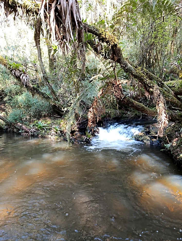 Pousada Gota de Orvalho
