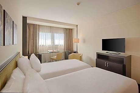 Superior Double or Twin Room with View