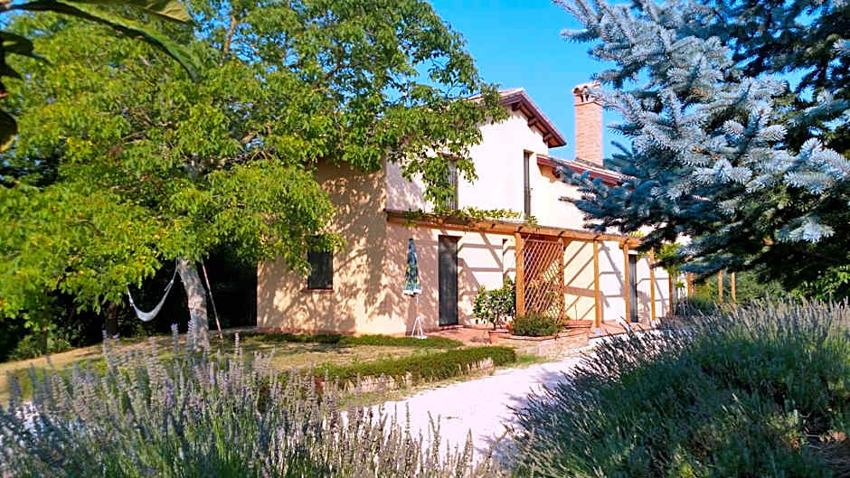 B&B Antegiano