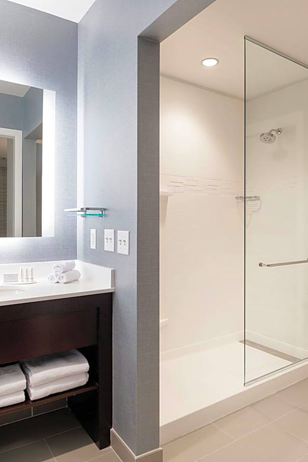 Residence Inn by Marriott Chicago Downtown/Loop