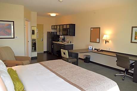Studio Queen Suite