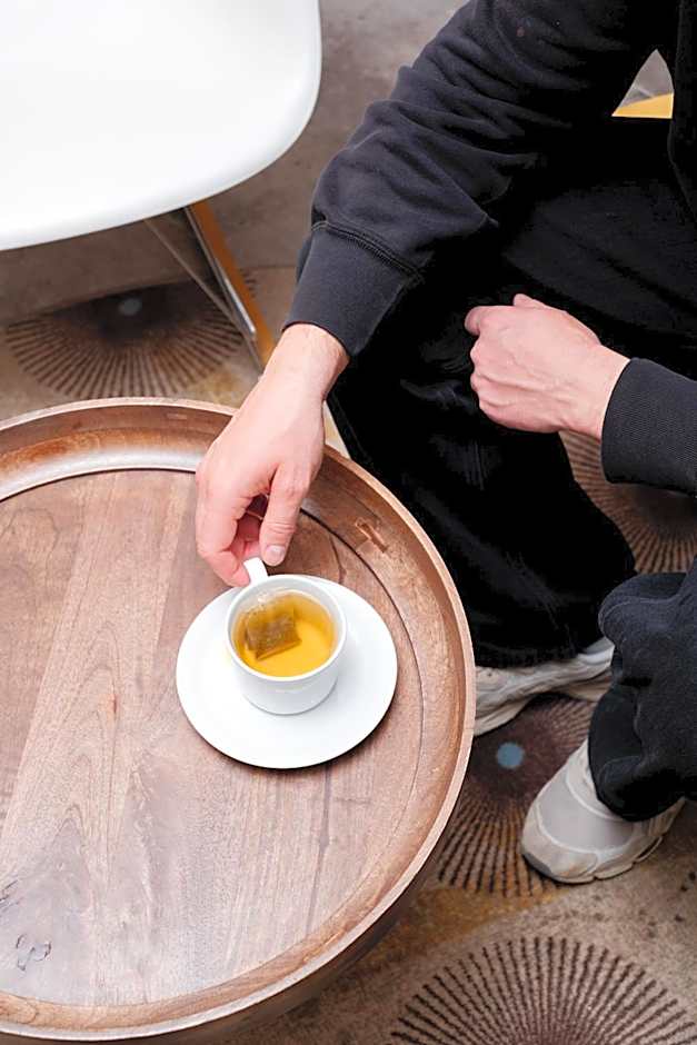 Green Hotels Confort Paris 13