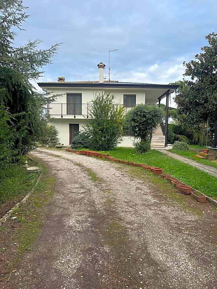 B&B Airport Venice Diego 2