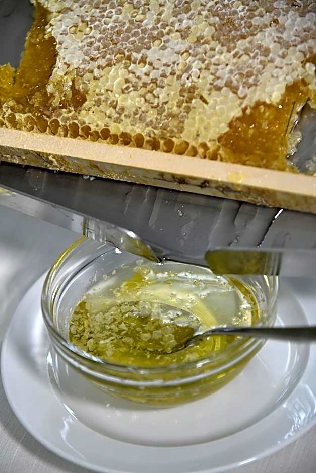 Hotel & Apartments Sasso