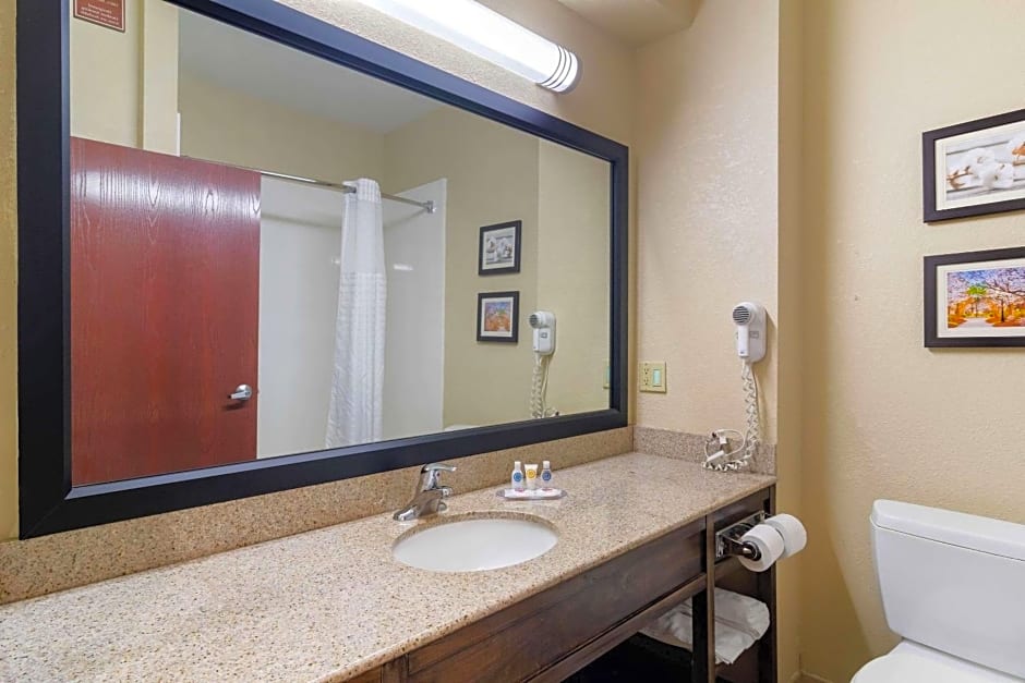 Comfort Inn & Suites Griffin