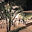 LunArena Barefoot Hotel