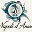 Napoli d'Amare B&B