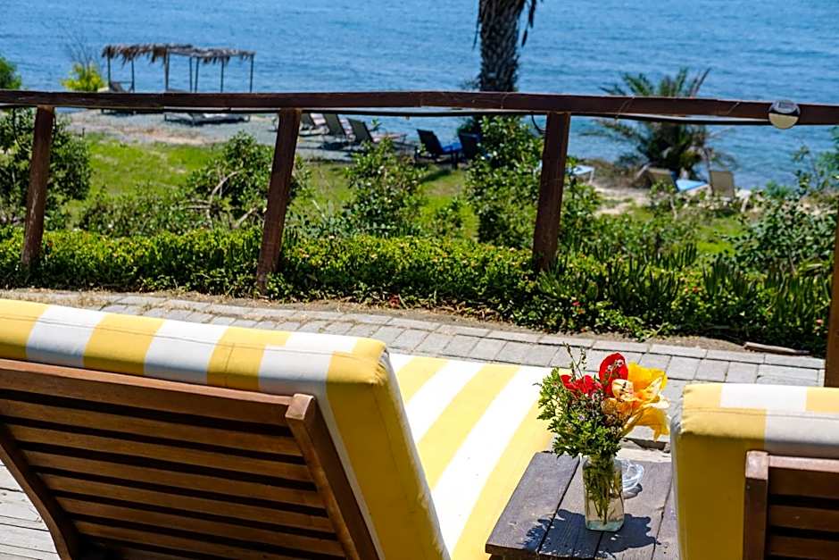 Summer Dream Cyprus