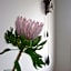 138 Marine Beachfront Guesthouse