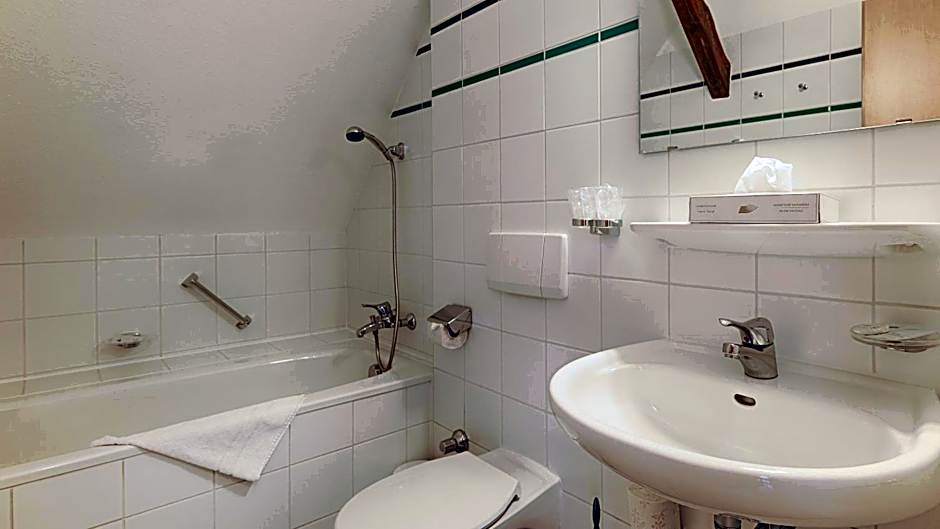 Hotel Luther Birke Wittenberg