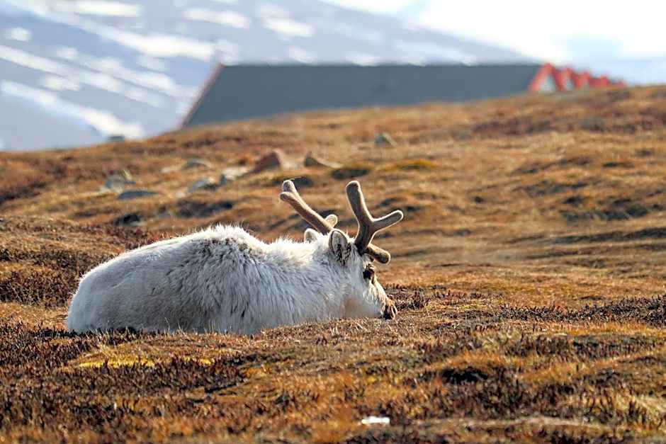 Radisson Blu Polar Hotel, Spitsbergen