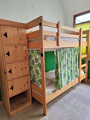 Bed in 6-Bed Mixed Dormitory Room