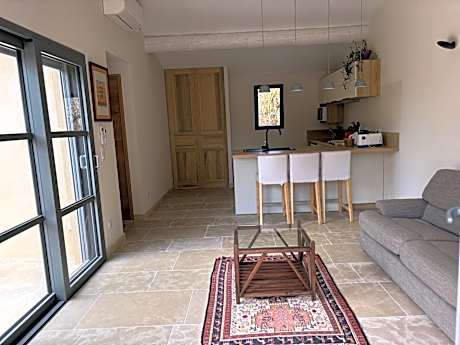 Studio with Terrace