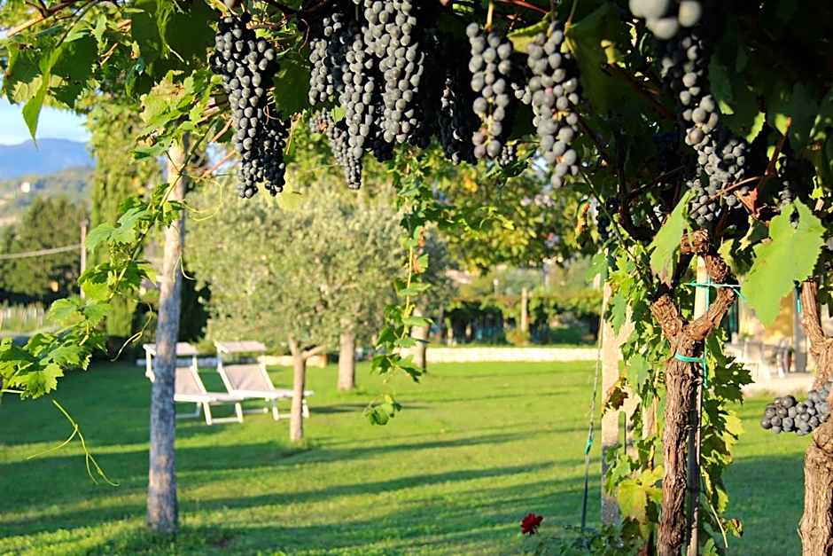 B&B CAMPAGNON VALPOLICELLA