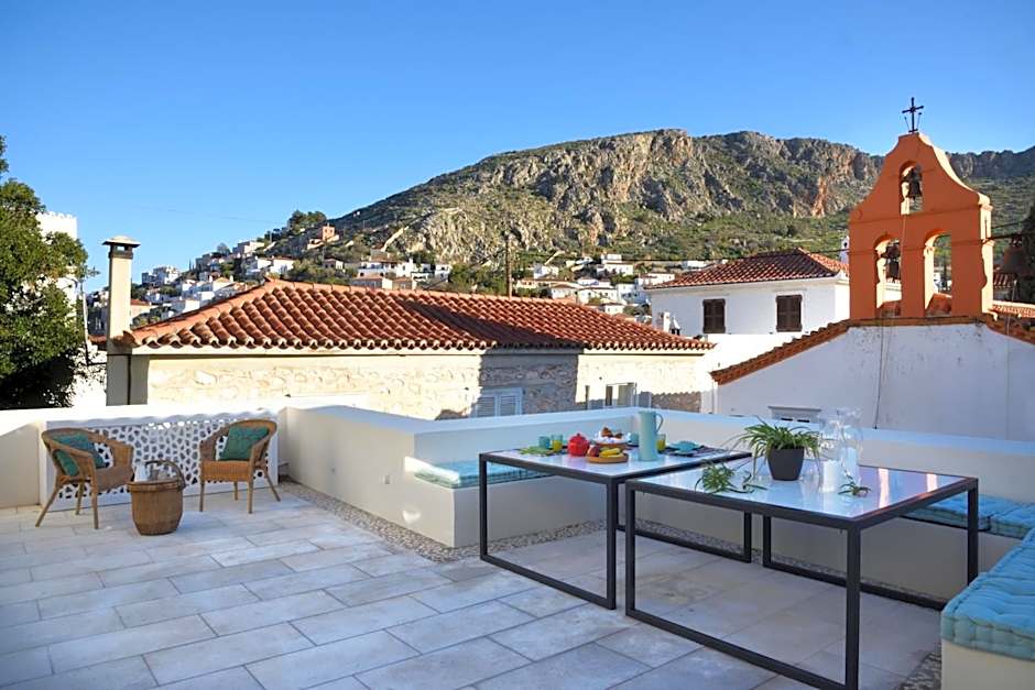 Cactus Hydra - Art Apartments