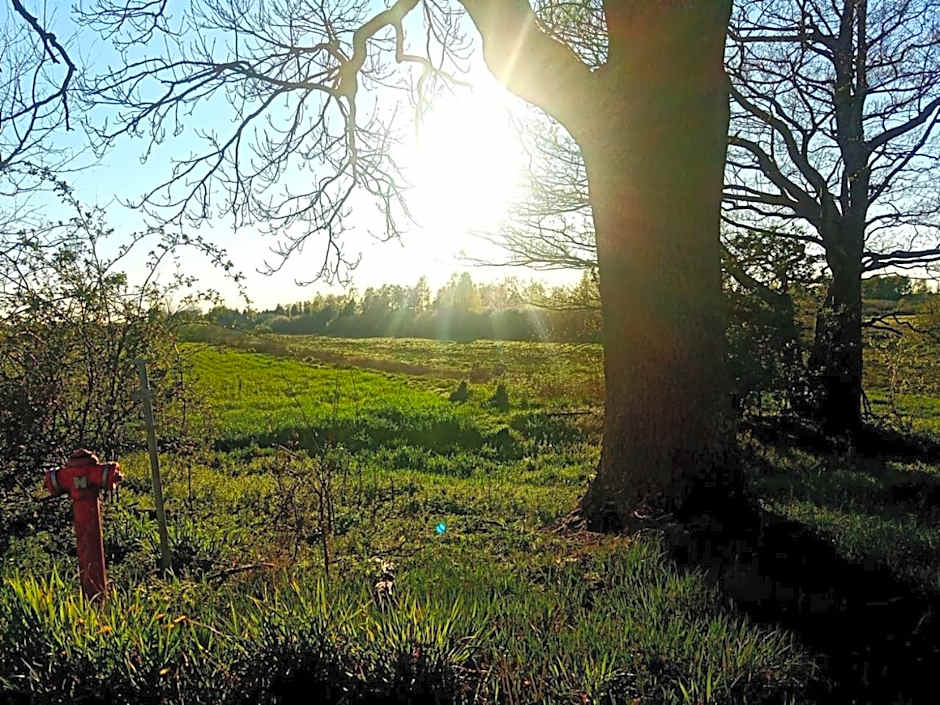 Domek letniskowy z kortem tenisowym Karwia Ostrowo