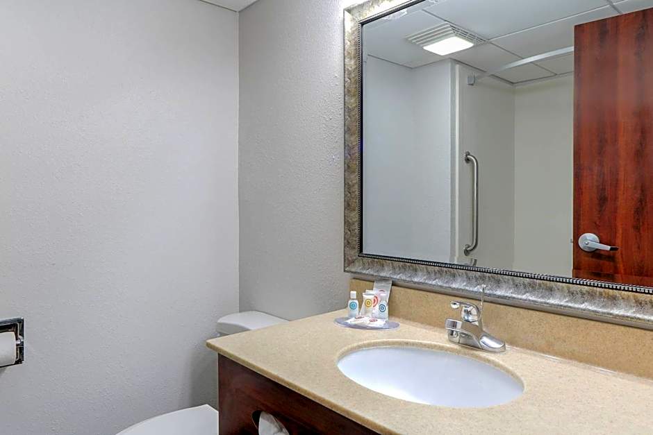 Comfort Inn & Suites At Dollywood Lane
