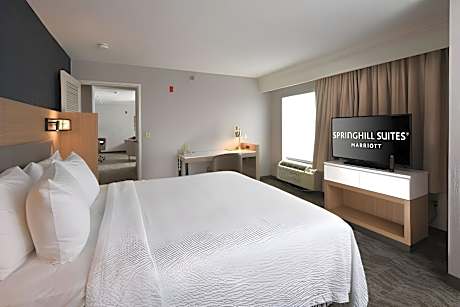 Two-room suite, 1 Bedroom Suite, 1 King, Sofa bed