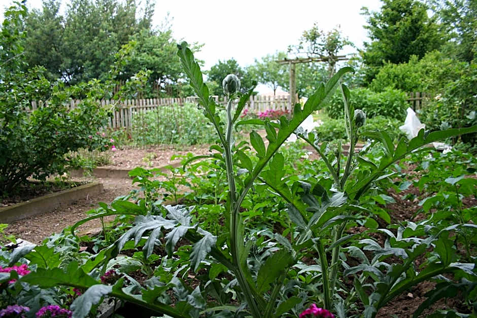 Une Chambre à la Campagne