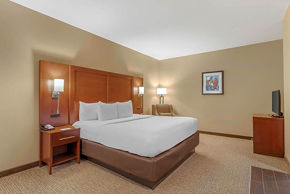 Comfort Inn Memphis Downtown