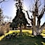 Silver Maple Inn