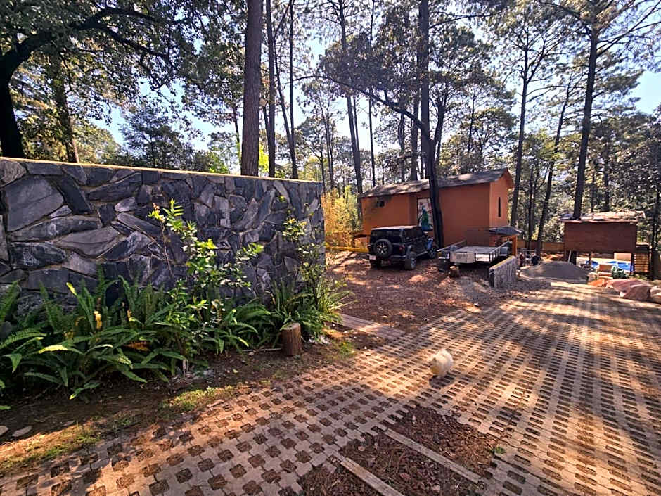 Bosque de Avandaro
